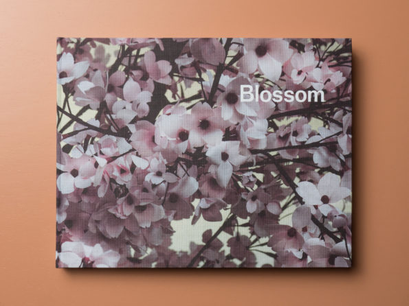 Blossom