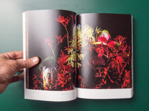 Encyclopedia of Flowers