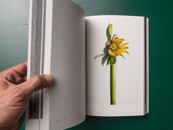 Encyclopedia of Flowers