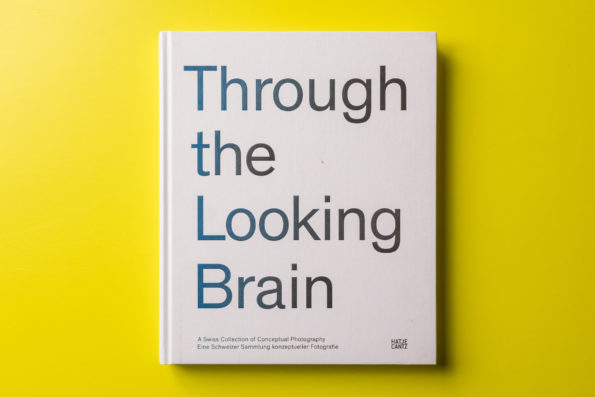 Through the Looking Brain