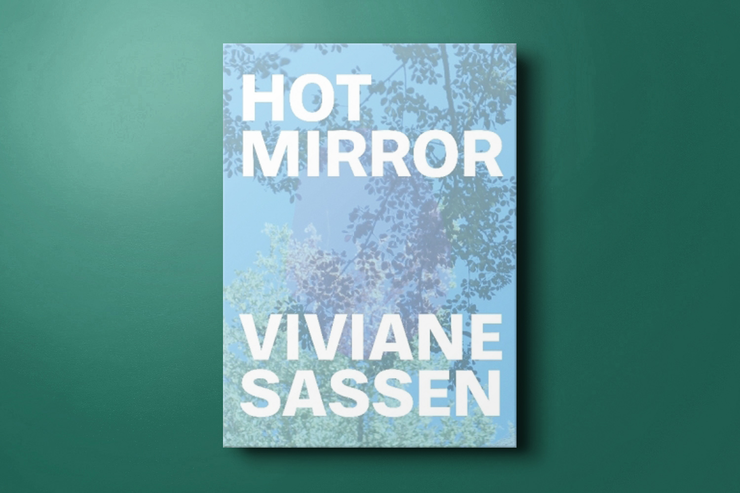  Viviane Sassen: Hot Mirror: 9783791384764: Clayton