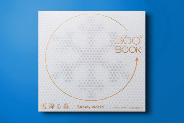 360 Snowy World Book