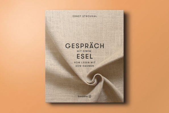 Gespräch mit einem Esel