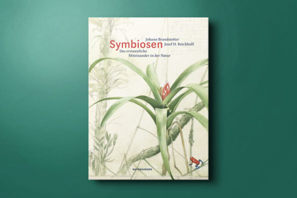 Symbiosen