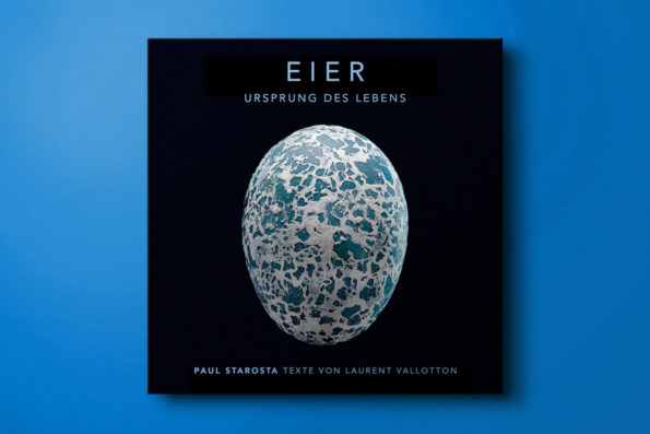 Eier